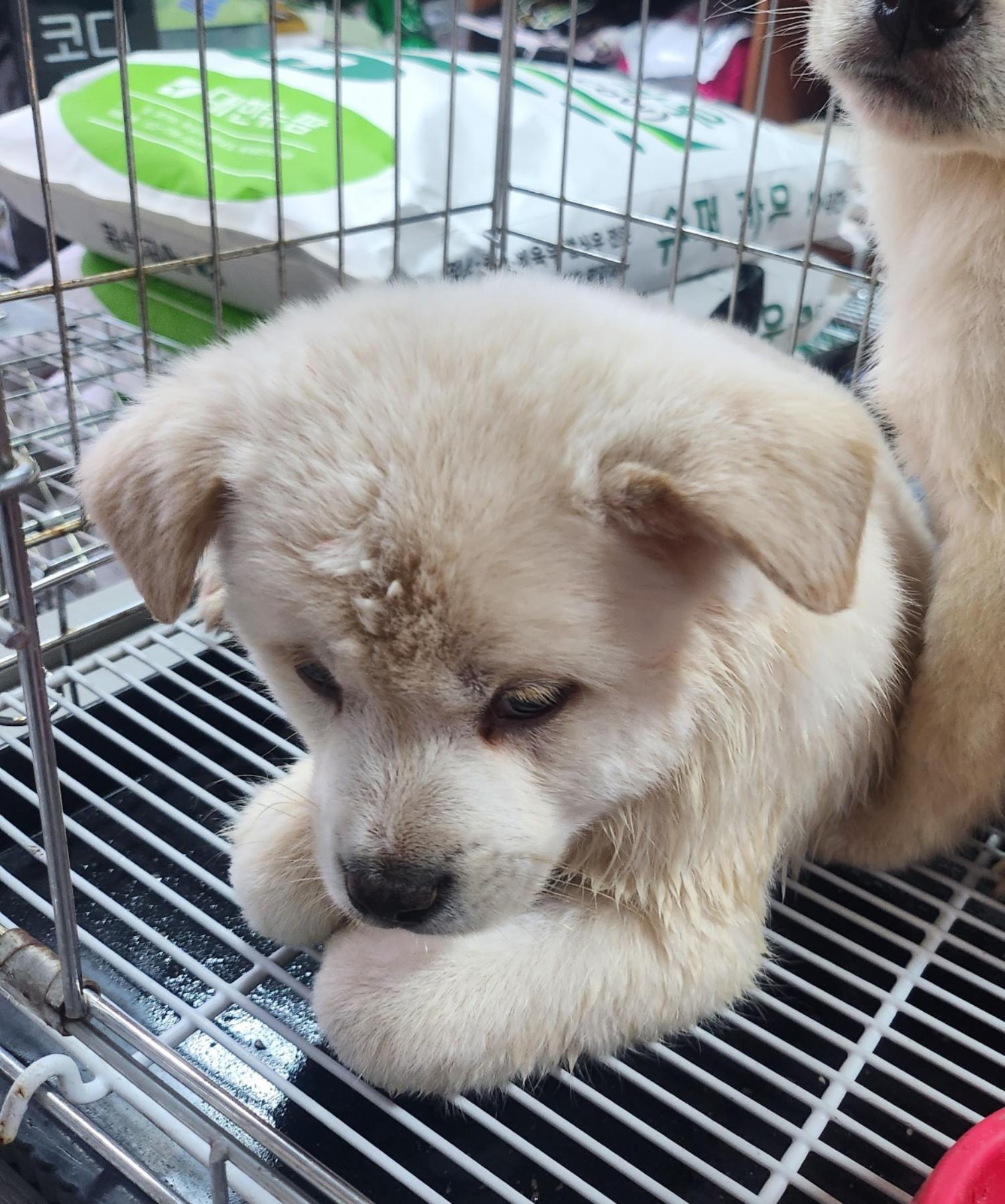 종합축산_447512202400127
